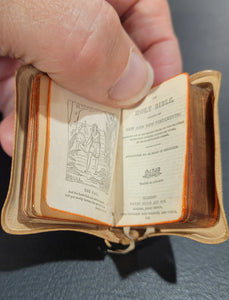 The Holy Bible Containing the Old and New     Testaments Translated out of the Original Tongues...     by His majesty's special command.        OWNED BY NORA BRYCE,