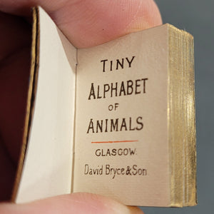 My Tiny Alphabet Book c1900