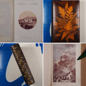 POETICAL WORKS OF SIR WALTER SCOTT SIR WALTER SCOTT >>MAUCHLINE FERN WARE BINDING<< Publication Date: 1874 Condition: Very Good