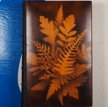 Load image into Gallery viewer, POETICAL WORKS OF SIR WALTER SCOTT SIR WALTER SCOTT &gt;&gt;MAUCHLINE FERN WARE BINDING&lt;&lt; Publication Date: 1874 Condition: Very Good
