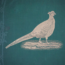 Load image into Gallery viewer, Pheasants for Coverts and Aviaries. Tegetmeier, W[illiam].B[ernhardt]. Publication Date: 1873 Condition: Very Good
