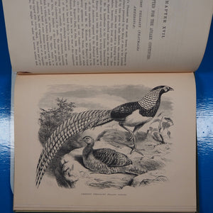 Pheasants for Coverts and Aviaries. Tegetmeier, W[illiam].B[ernhardt]. Publication Date: 1873 Condition: Very Good