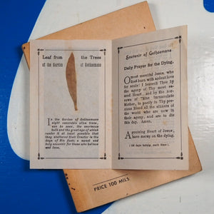 PALESTINE BY ROAD AND RAIL. A Concise Guide to the Important Sites in Palestine and Syria. ST.H.STEPHAN & BOULOS 'AFIF. With an introduction by THE REV. FR. EUGENE HOADE O.F.M. Publication Date: 1942 Condition: Very Good