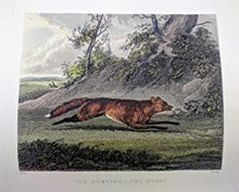 Load image into Gallery viewer, Notitia Venatica : A Treatise on Fox-Hunting Embracing the General Management of Hounds
