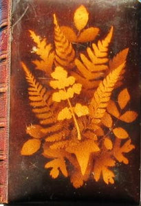 MAUCHLINE FERN WARE BINDING<<The Poetical Works of Sir Walter Scott. With memoir of the author. Sir Walter Scott Publication Date: 1871 Condition: Very Good.