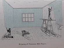 Load image into Gallery viewer, DANGERS TO HEALTH: A Pictorial Guide to Domestic Sanitary Defects. T. Pridgin Teale Publication Date: 1881 Condition: Good
